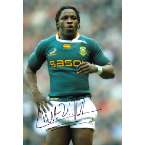 Lwazi Mvovo Signed 8x12 Springbok's Rugby Photograph